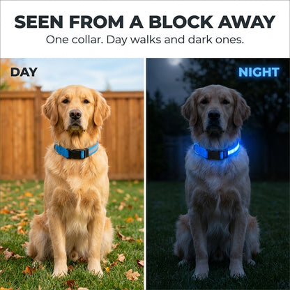 LED Dog Collar