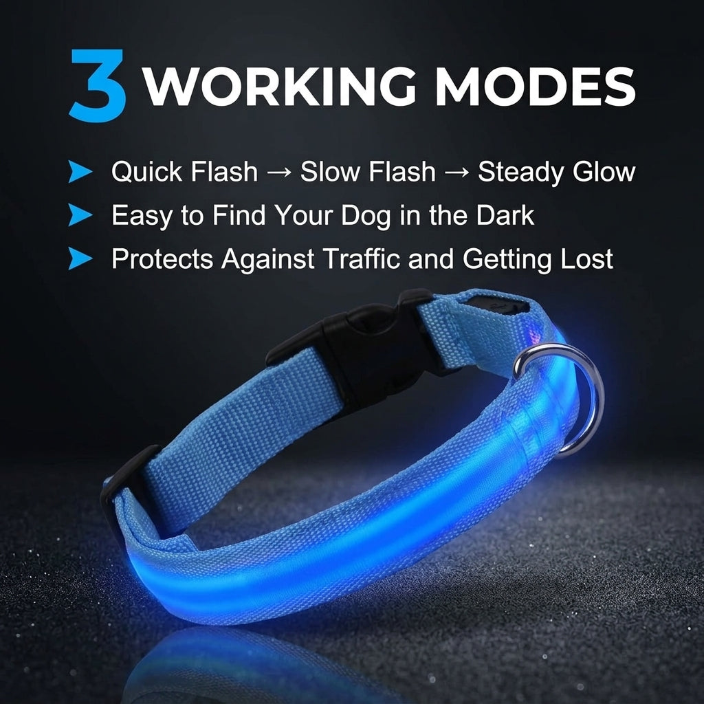 LED Dog Collar